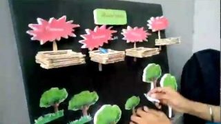 Media Pembelajaran Materi media Taman Satwa