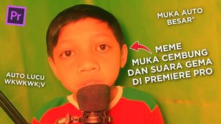 Cara Membuat Meme Muka Cembung Dan Suara Bergema Di Adobe Premiere Pro