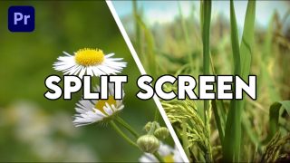 Cara Membuat Split Screen Di Adobe Premiere Pro