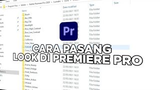 Cara Memasang Look Di Adobe Premiere Pro