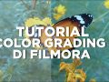 Tutorial Color Grading Video Menggunakan FIlmora
