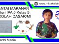 Pembelajaran rantai makanan