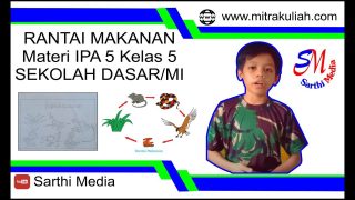 Pembelajaran rantai makanan