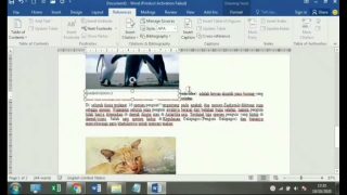 Cara Membuat Daftar Isi Gambar Secara automatis